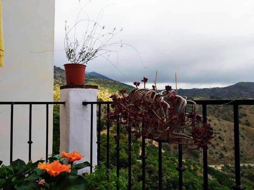 Posada Puente Romano Sedella Buitenkant foto